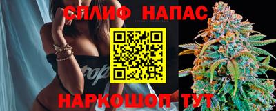 spice Нальчик