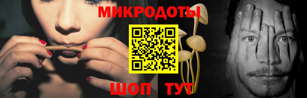 Галлюциногенные грибы Psilocybe Сергиев Посад