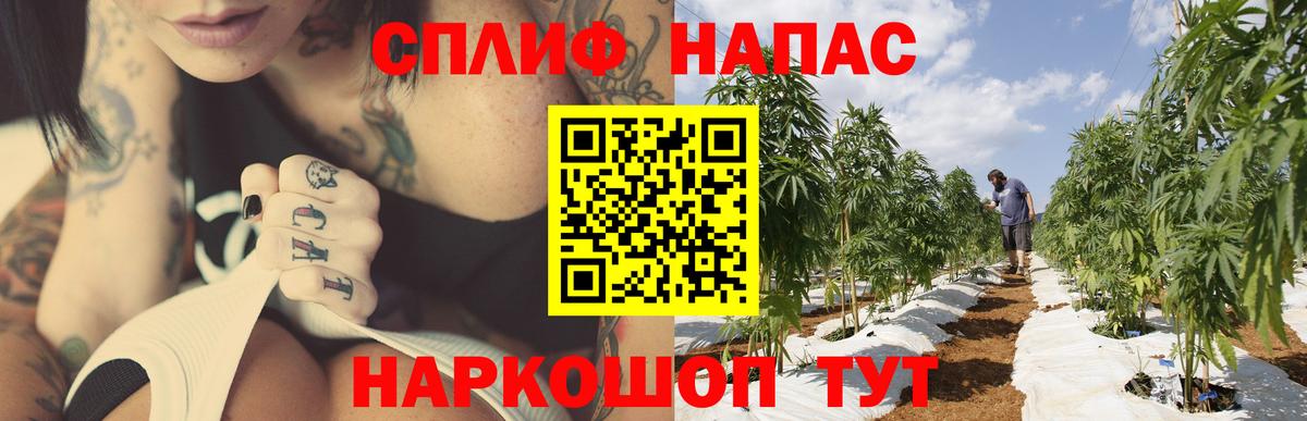 Конопля сатива  Канабис индика  Вход с VPN  Марихуана сатива  Бошки Шишки конопля  Сергиев Посад 